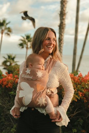 Joyful - Aerial Carrier