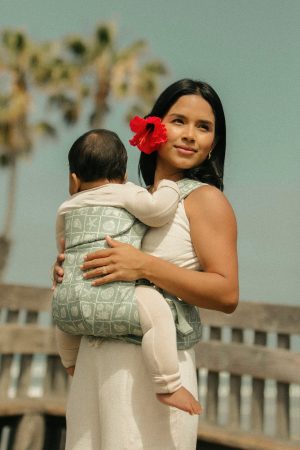 Coastal - Aerial Carrier